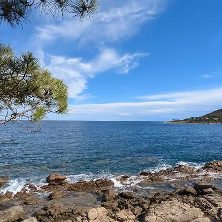 Les De La Résidence U Veniqui *