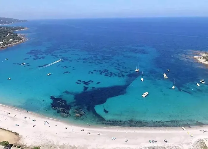 Les De La U Veniqui * Favone