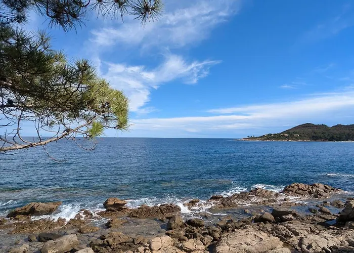 Les De La U Veniqui *